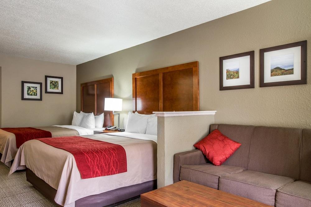 Comfort Inn & Suites At Dollywood Lane Pigeon Forge Exteriér fotografie